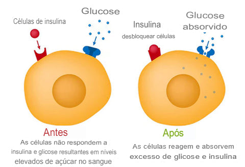 Healthify™ Pulseira reguladora de açúcar + EBOOK 107 receitas pró-diabetes (BRINDE)