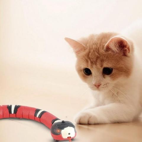 Brinquedo de Cobra para Gatos - Mimus