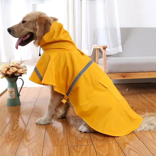 Capa de chuva pet