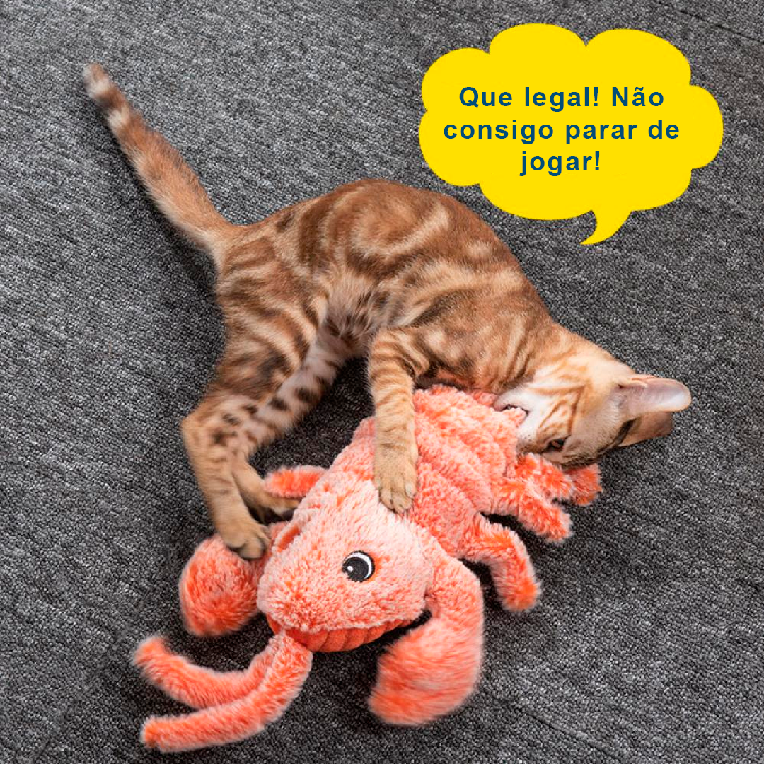 Brinquedo Lagosta Para Gatos