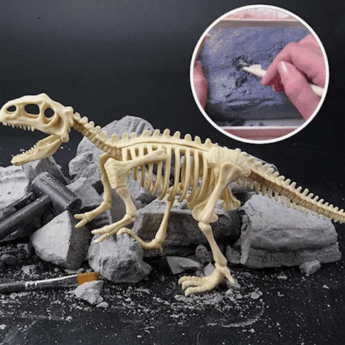 Kit de Escavação de Fósseis de Dinossauros
