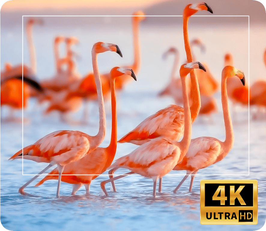 Projetor de Cinema LED 4k - Wi-Fi - Android