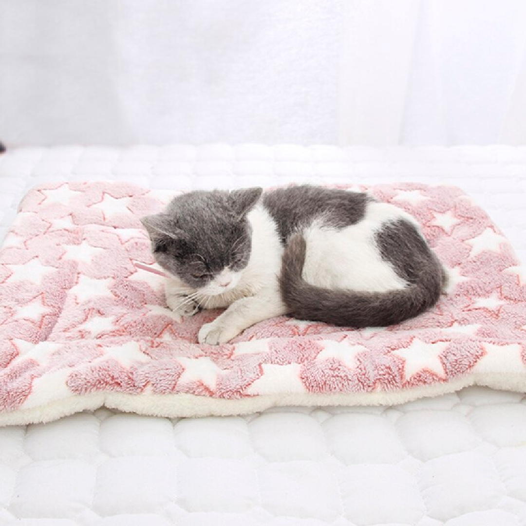 Caminha MimusRelax™ - Cama para gatos e cachorros