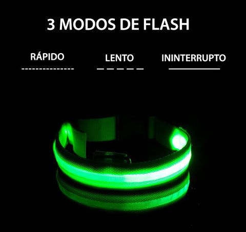 Coleira Led para cachorro (Carregamento USB)