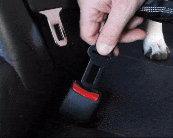 Cinto de Segurança Para Cães