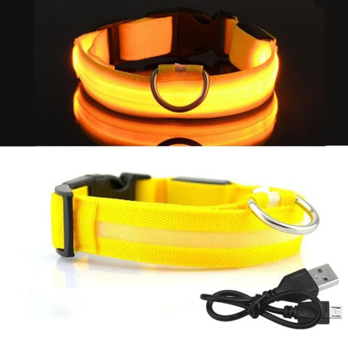 Coleira Led para cachorro (Carregamento USB)