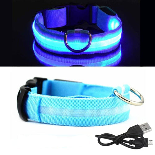 Coleira Led para cachorro (Carregamento USB)