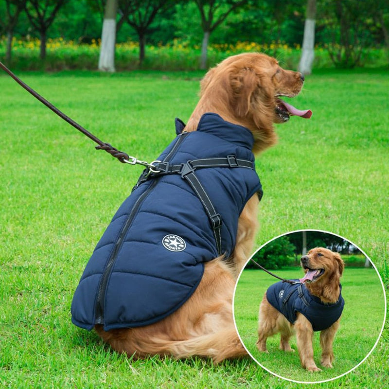 Jaqueta para cães Coleira Mimus