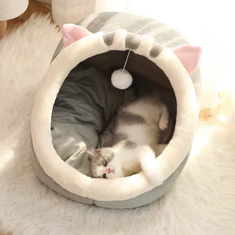 Casinha Para Gato Com Bola Interativa