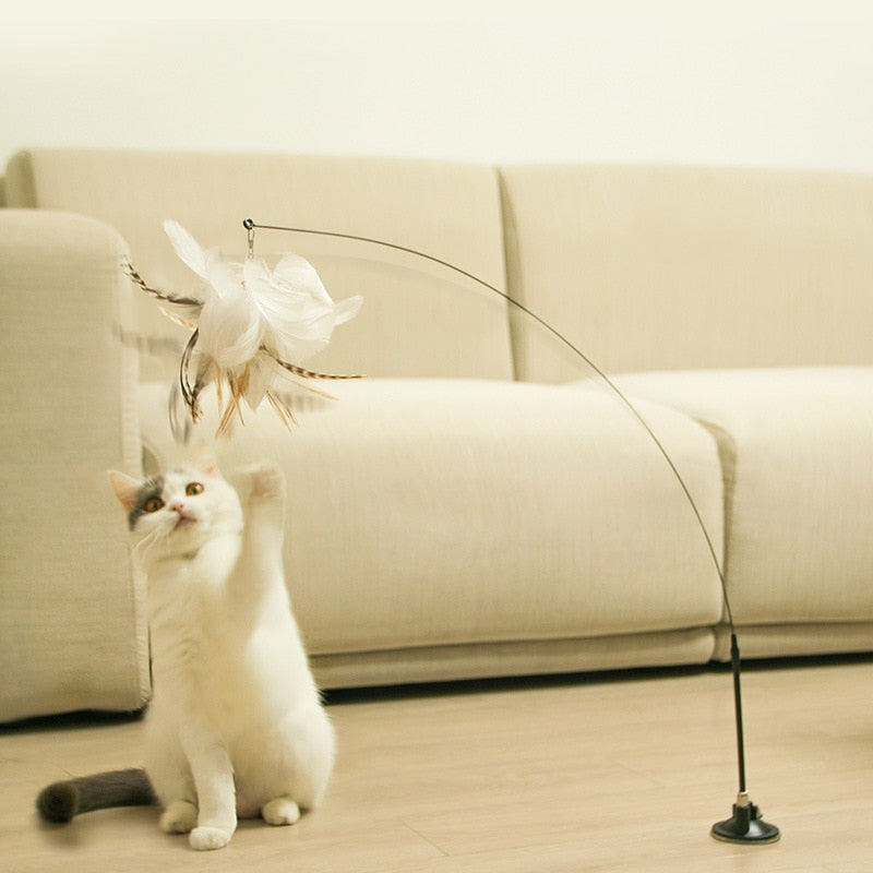 Brinquedo Pássaro Para Gatos Mimus