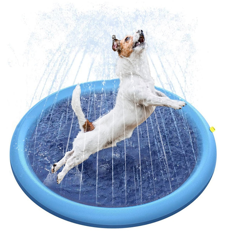 Piscina para cachorro Mimus