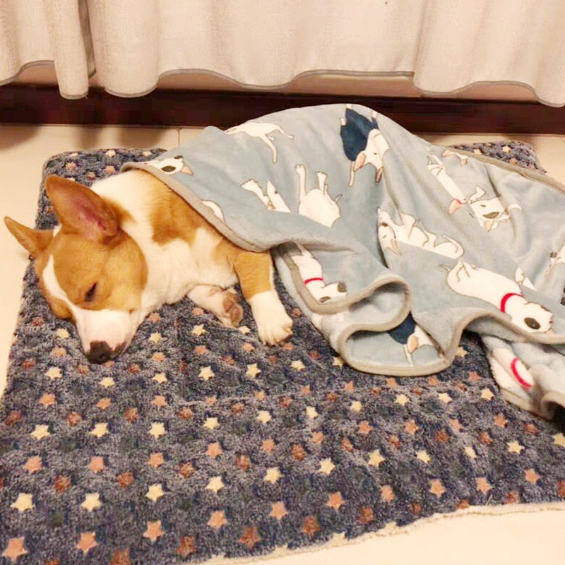 Caminha MimusRelax™ - Cama para gatos e cachorros