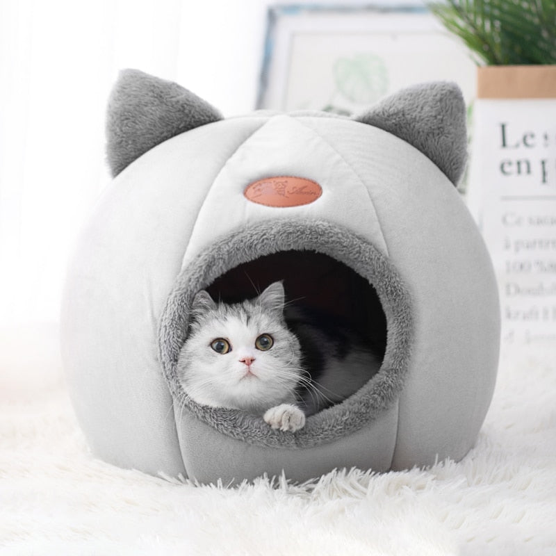 Casinha Para Gatos MimusConfort™