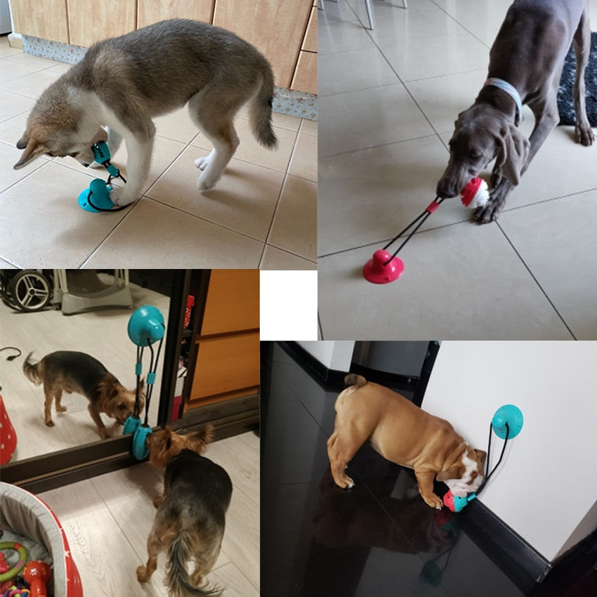 Puxador e mordedor para cães mimus