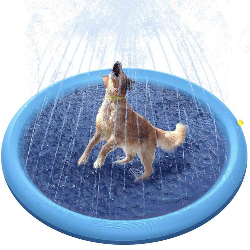 Piscina para cachorro Mimus