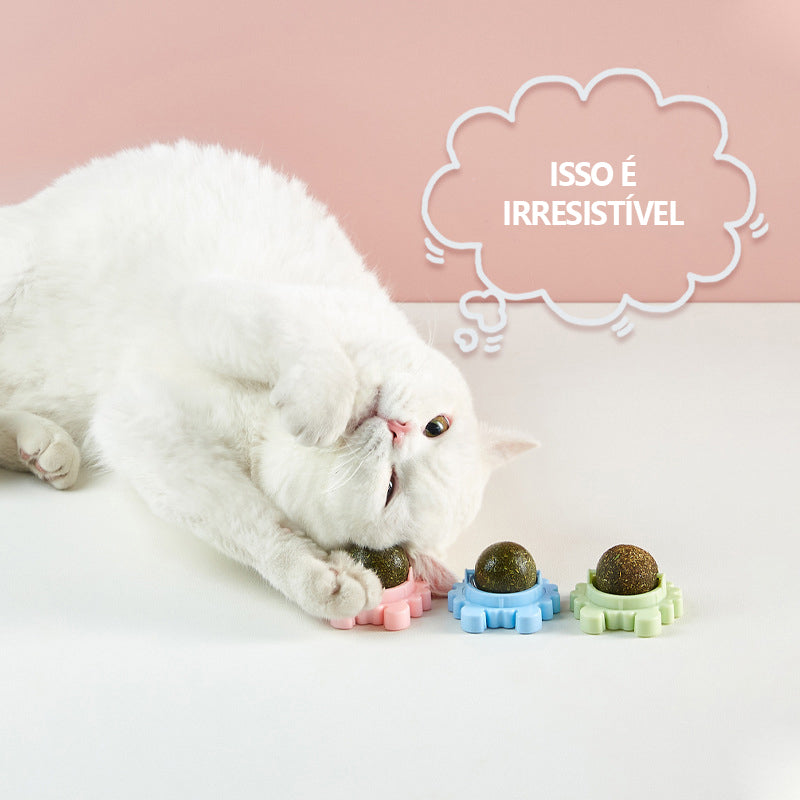 Bola de parede para gatos Catnip