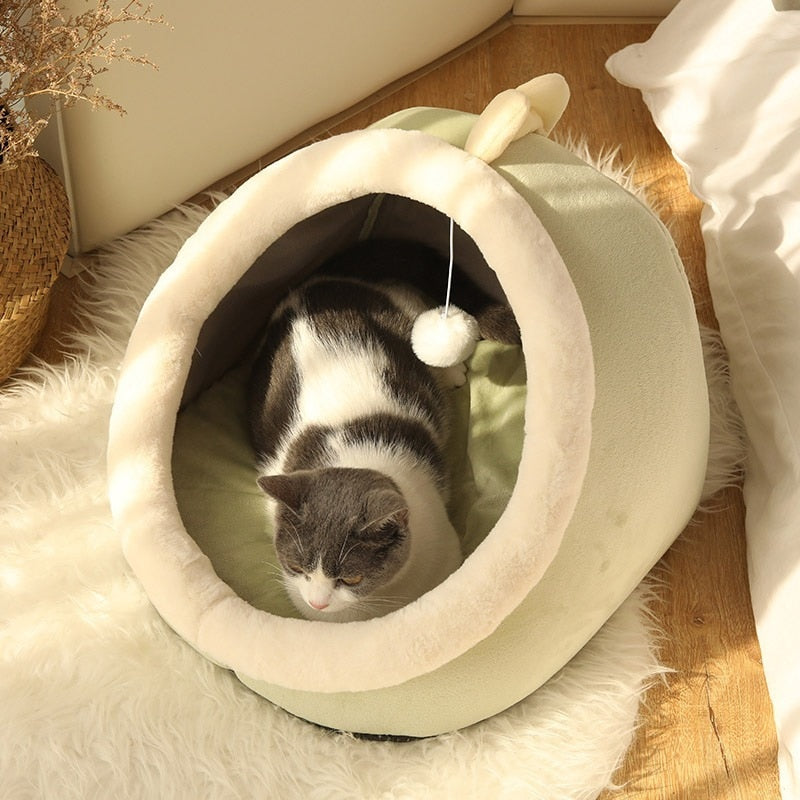 Casinha Para Gato Com Bola Interativa