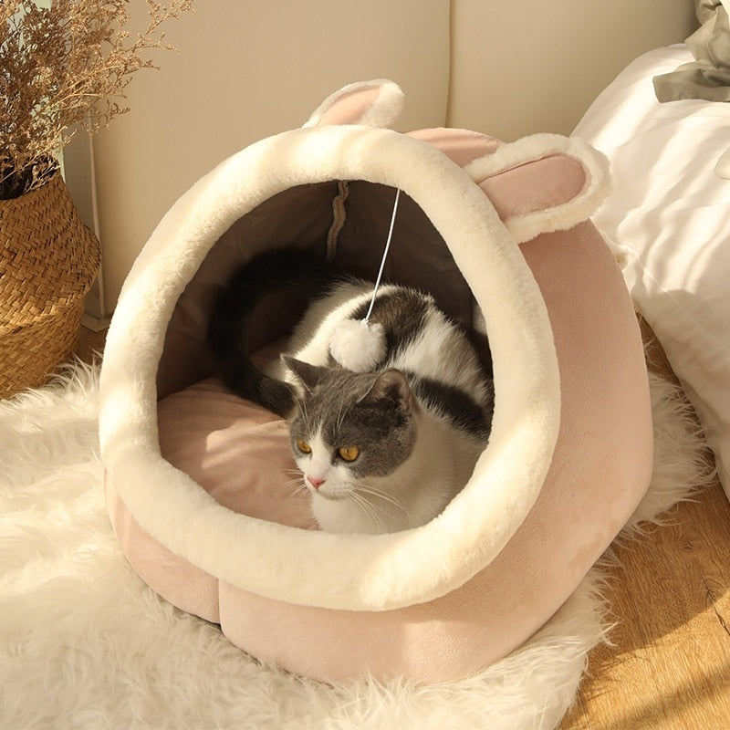 Casinha Para Gato Com Bola Interativa