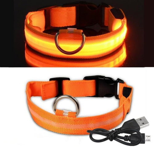 Coleira Led para cachorro (Carregamento USB)