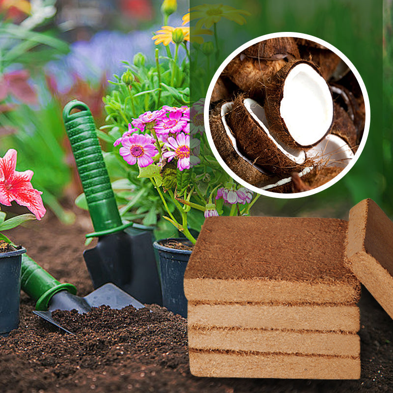 Coco orgânico para plantas - FRETE GRATIS