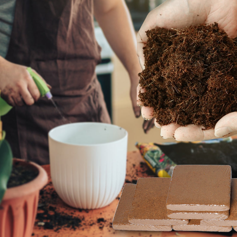 Coco orgânico para plantas - FRETE GRATIS