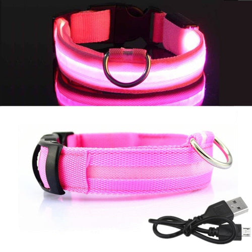 Coleira Led para cachorro (Carregamento USB)