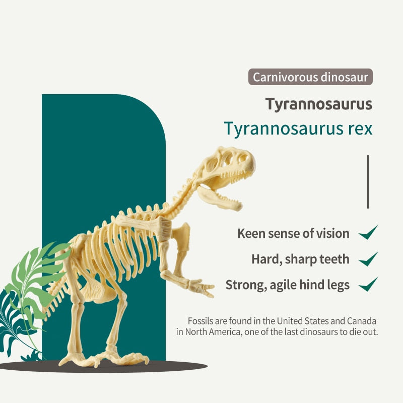 Kit de Escavação de Fósseis de Dinossauros