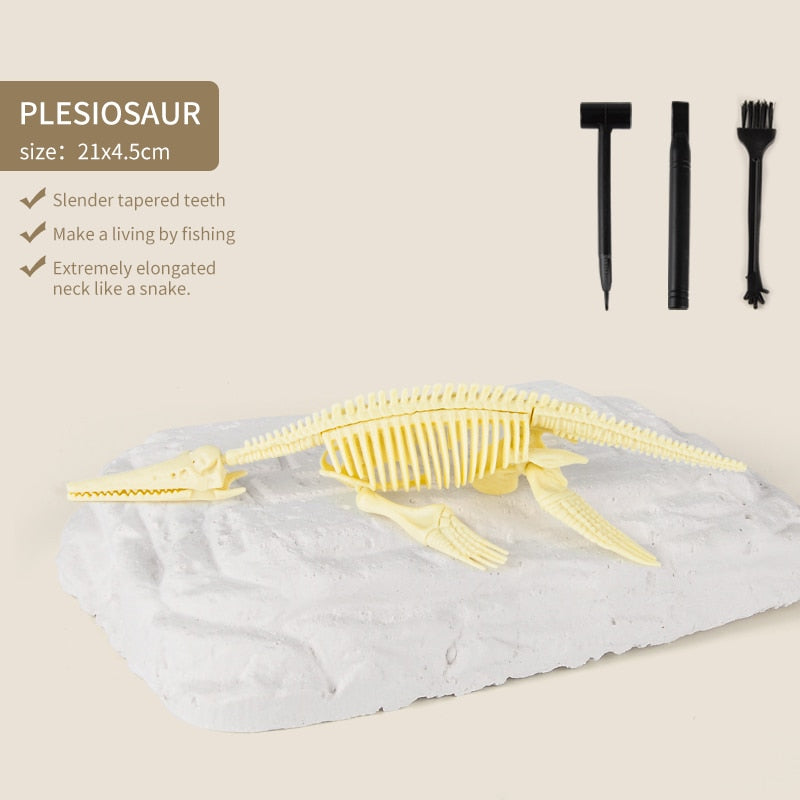 Kit de Escavação de Fósseis de Dinossauros