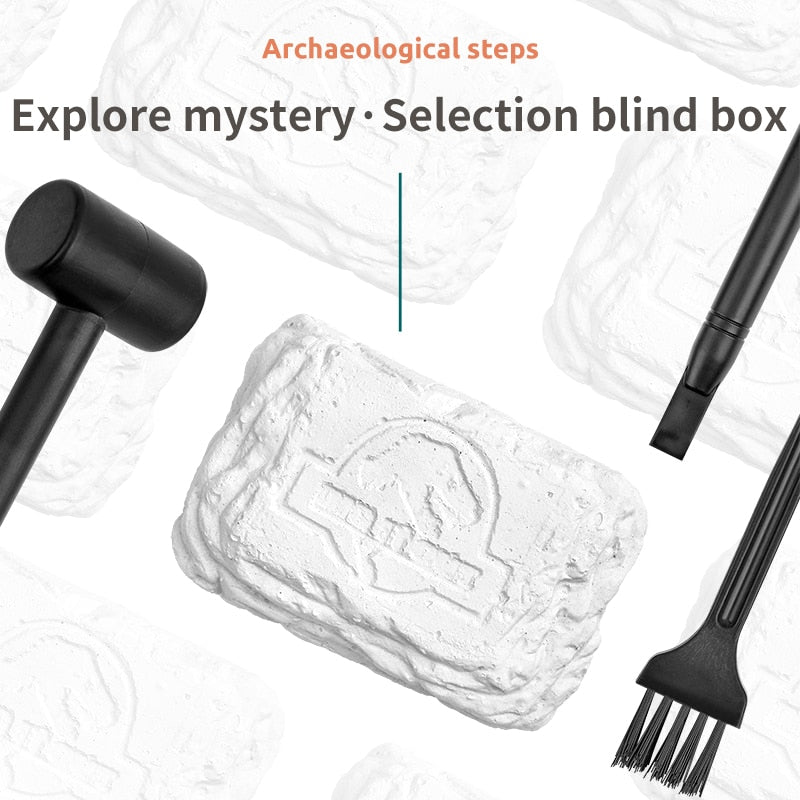 Kit de Escavação de Fósseis de Dinossauros