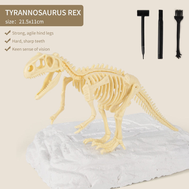 Kit de Escavação de Fósseis de Dinossauros