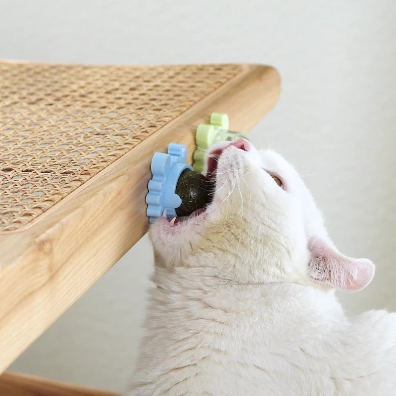 Bola de parede para gatos Catnip