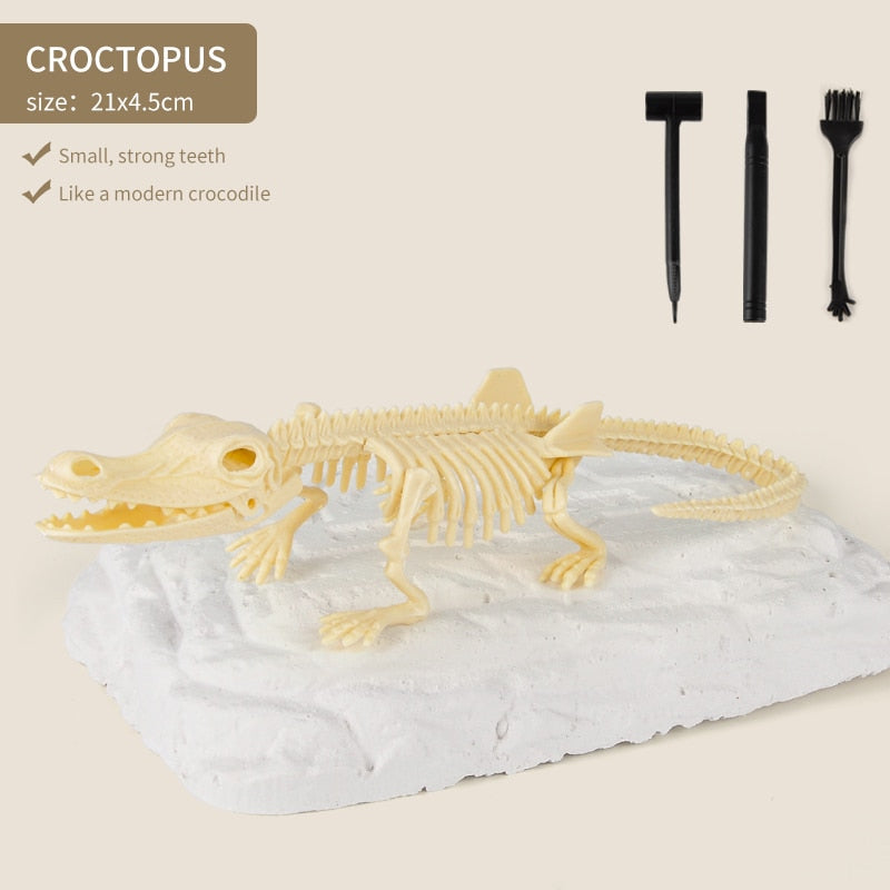 Kit de Escavação de Fósseis de Dinossauros