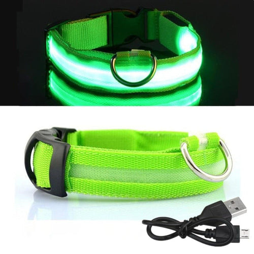 Coleira Led para cachorro (Carregamento USB)
