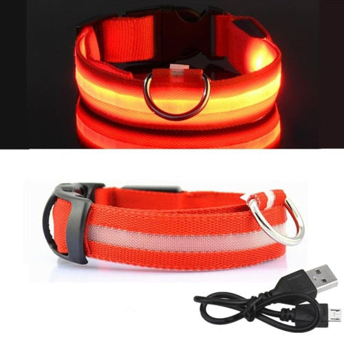 Coleira Led para cachorro (Carregamento USB)