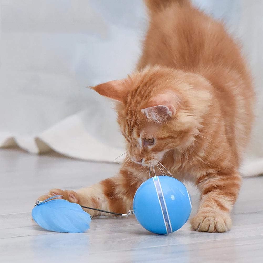 Bola Para Cães Smart Interativa Mimus