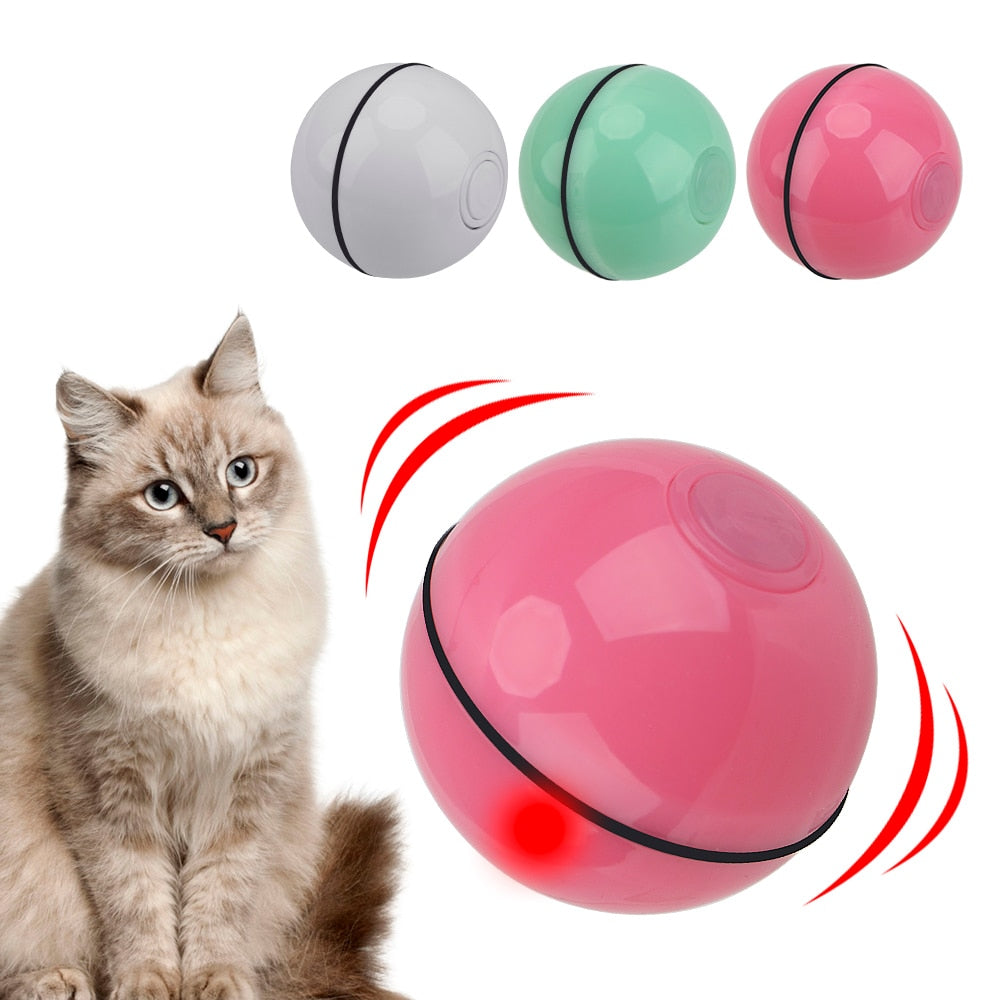 Bola Para Cães Smart Interativa Mimus