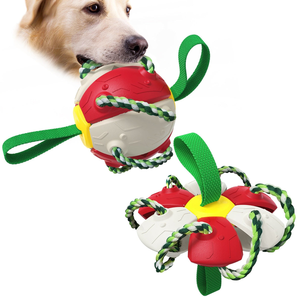 Bola Frisbee Para Cães Mimus