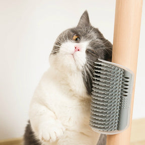 Escova Massageadora Para Gatos