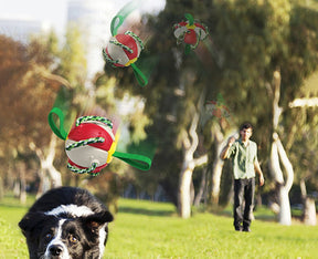 Bola Frisbee Para Cães Mimus