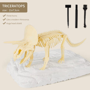 Kit de Escavação de Fósseis de Dinossauros